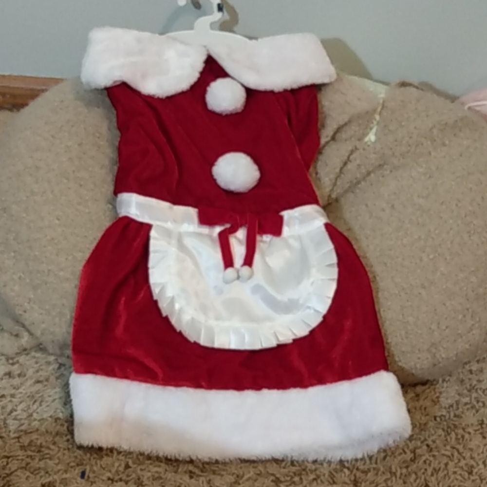 Mrs Claus dress for dog